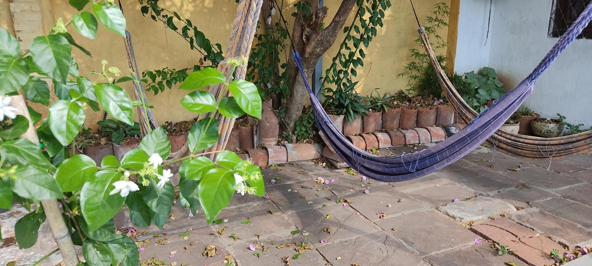 Mediterraneo Youth Hostel アスンシオン エクステリア 写真