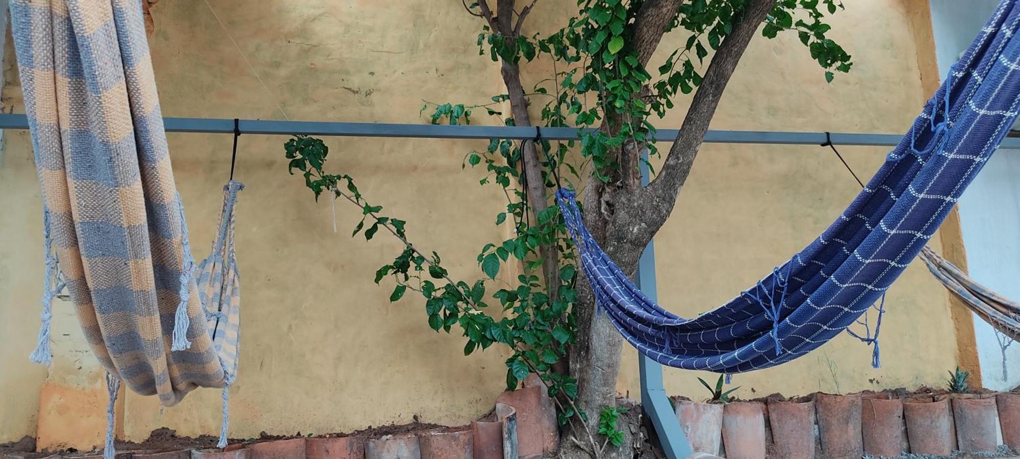 Mediterraneo Youth Hostel アスンシオン エクステリア 写真